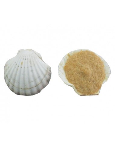 [ENT-8411076009446] Capasanta gratinata alla galiziana, pezzo